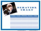 Behavior Charts