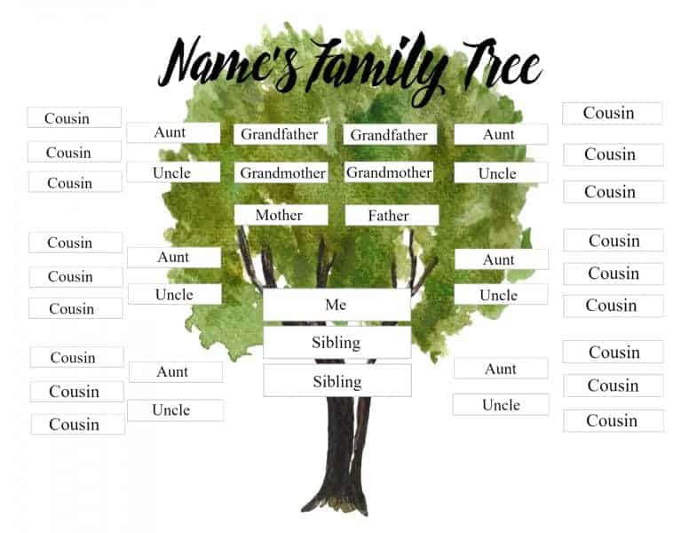 family tree with cousins and siblings