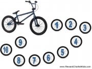 BMX Behavior Chart