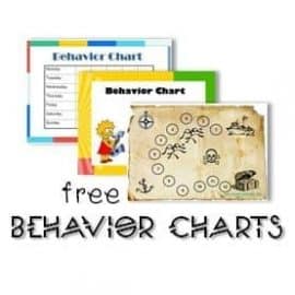 Behavior Charts