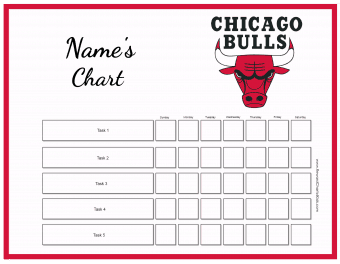 Chicago Bulls