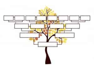 Blank family tree