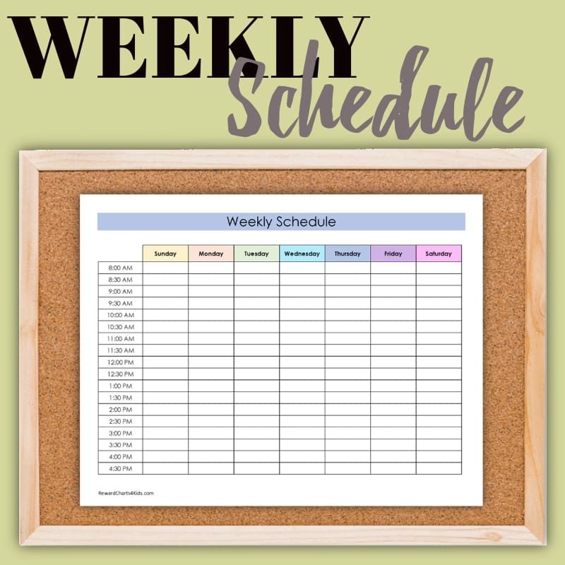 weekly schedule