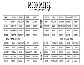 ruler mood meter